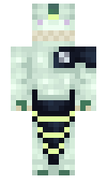 e920c747ebc62c minecraft skin