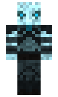 LordSkyblocker minecraft skin