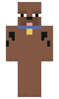 papism minecraft skin