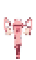 ENDOMETRIOSIS minecraft skin