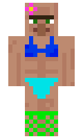 accidentalfunboy minecraft skin