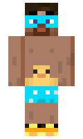 unkown minecraft skin