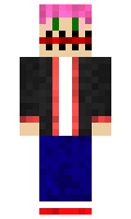UNVS minecraft skin