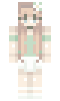 e9d74c0a01595b minecraft skin