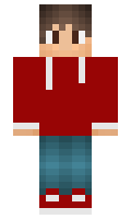 NKS minecraft skin