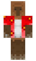Bot13 minecraft skin