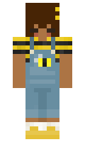 e9fa82ba1990d3 minecraft skin