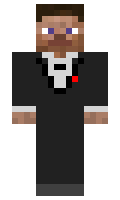 wladis minecraft skin