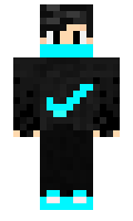 FETEK minecraft skin