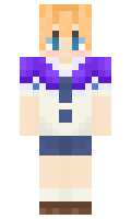 ea13519f6cae0d minecraft skin