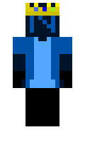 LEDNight minecraft skin