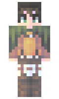 Besserk minecraft skin
