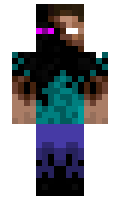 FestiveBear minecraft skin