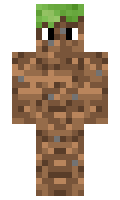 ea437810c1c50a minecraft skin