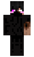 ea4a17463911d9 minecraft skin