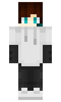 ea5fa34779fbf3 minecraft skin