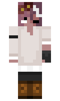 ea9fcd8afcdfd2 minecraft skin