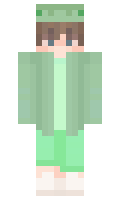 eaa08923af72e6 minecraft skin