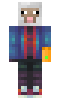 evge minecraft skin