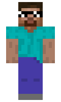 SonalDonal minecraft skin