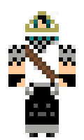 eb004028630088 minecraft skin