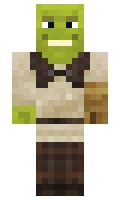 poler minecraft skin