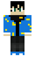 Wapmedo minecraft skin