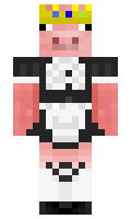 SquidSirX minecraft skin