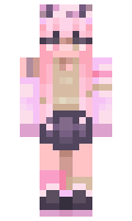 flintie minecraft skin