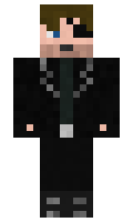 beedaso minecraft skin