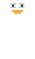 zest minecraft skin