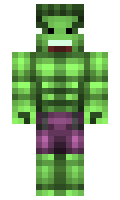 linkzVizion minecraft skin