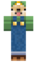 GrunnHolland minecraft skin