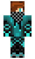 Plasticheka minecraft skin