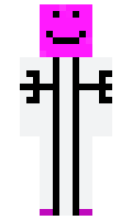 MoinMeister06 minecraft skin