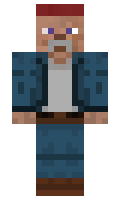ebe67bdb4dd14b minecraft skin