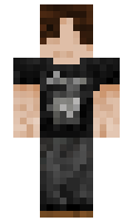 pioferlin minecraft skin