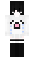 PyMPcIook minecraft skin