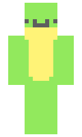 SquidLane minecraft skin