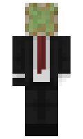 xiriwili minecraft skin