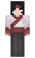 ec3fbf03379a24 minecraft skin