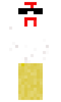 SandraLandra minecraft skin