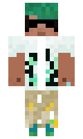 ec5a35ec31e3e2 minecraft skin