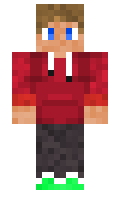Flokar minecraft skin