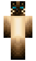 Antfrost minecraft skin