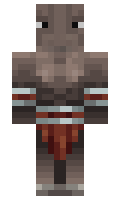 ec8cdab4a8b148 minecraft skin