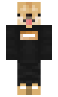 Rewers minecraft skin