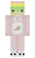 ecaa8de20a7f45 minecraft skin