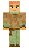 ecc6a68adaad69 minecraft skin