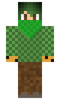 eccaf2de75b32e minecraft skin